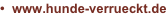 shapeimage_8_link_3